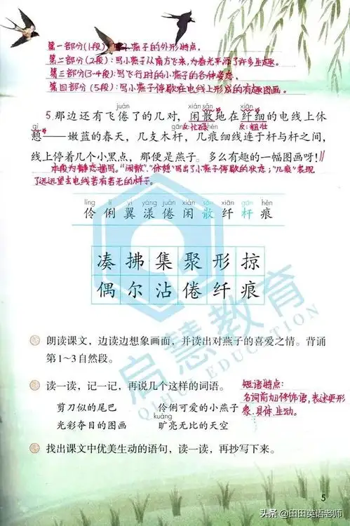 三年级语文下册燕子学习重点一线教师备课手稿