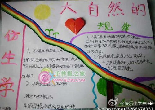 仿生学手抄报图片