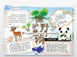 保护动物word手抄报模板图片wps设计图下载课文阅读手抄报大全编号17781402