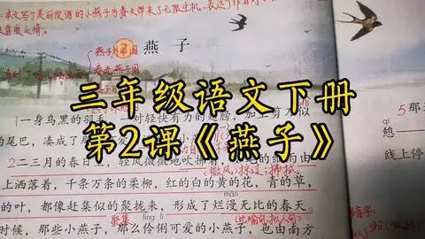 三年级下册燕子课文学习,闲散这个词怎么读,注意多音字
