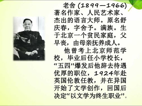 名著阅读骆驼祥子