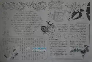 妈妈赶紧收藏这份最全手抄报作业模板,你一定用得上