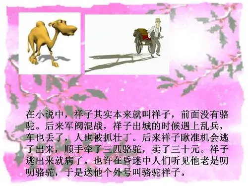 名著导读骆驼祥子