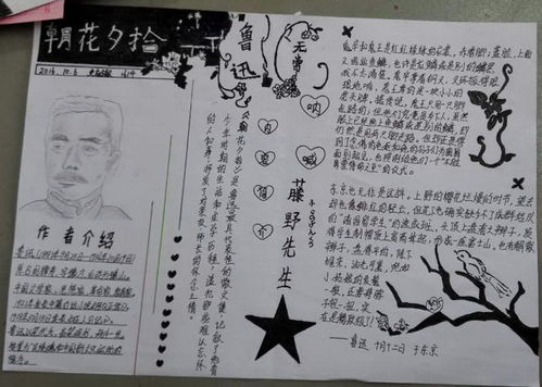 朝花夕拾手抄报图片大全