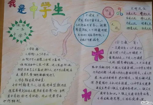 哪位妈妈做的暑期手抄报,这么好看