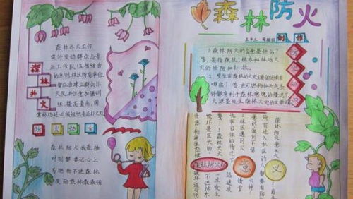 2020森林防火手抄报森林防火手抄报简单又漂亮2020