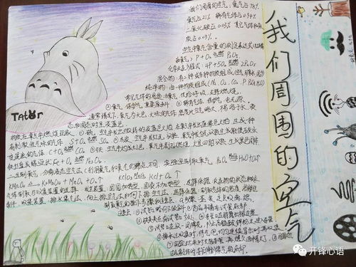 精彩化学化学手抄报展1