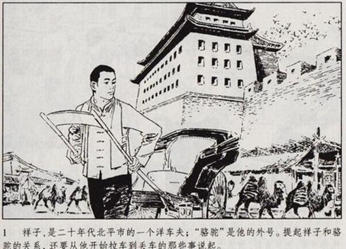 从骆驼祥子看旧社会祥子虎妞,只是一个时代下的牺牲品