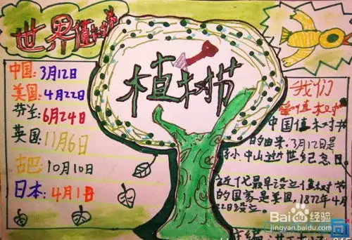 植树节手抄报过程