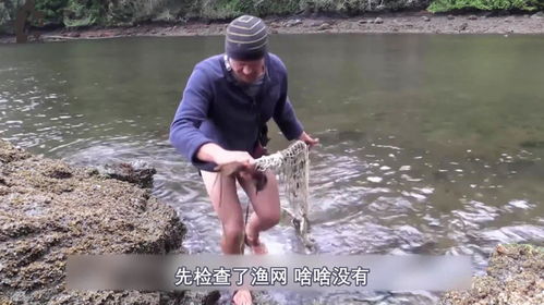 真人版鲁滨逊漂流记荒野独居比赛后半程,众人为什么纷纷退赛