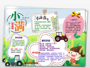 ps小满小报二十四节气传统习俗秋收手抄小报素材图片模板psd设计图下载语文手抄报大全编号17822805