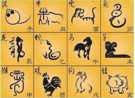 成语寅吃卯粮中的寅和卯分别十二生肖中的什么和什么