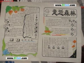 给我一份初一生物手抄报急用明天上学生物手抄报图片也可以要清晰1