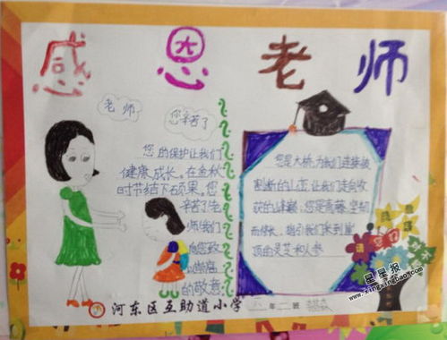 感恩老师手抄报资料