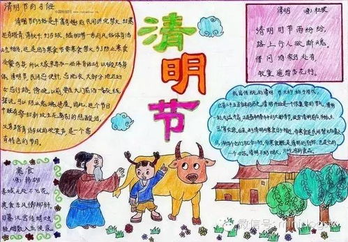 清明节手抄报图片大全简单又漂亮60张