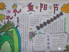 最实用的重阳节手抄报素材来啦各位家长快来收藏