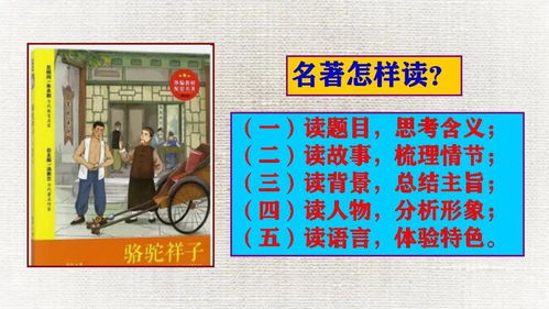 骆驼祥子名著视频讲解