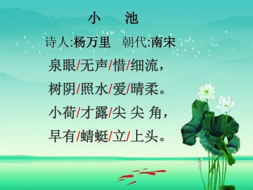 小池这首诗表达了诗人对什么之情
