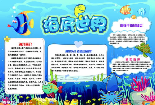 海底世界小报设计图