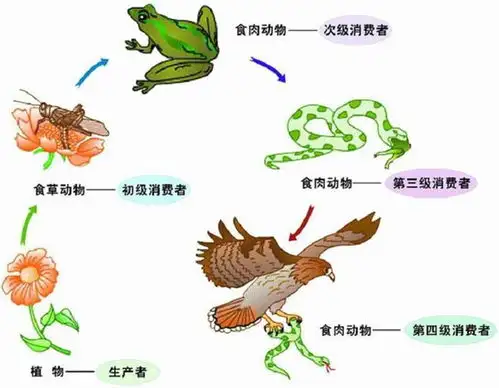 回顾你以为恐龙曾称霸地球在恐龙时代,其实仍有动物以恐龙为食