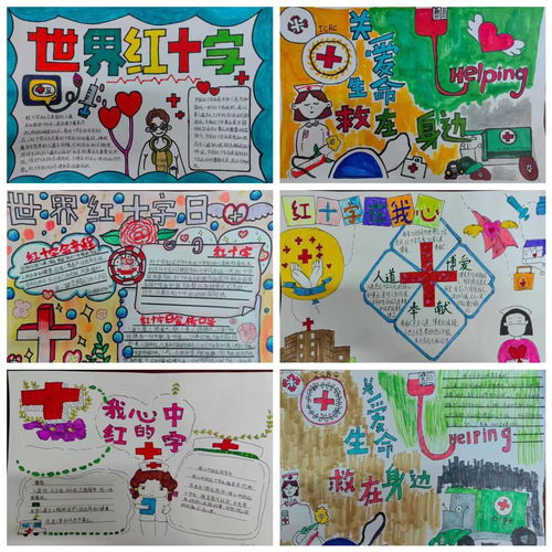 学红会知识,扬红会精神区第一实验小学红十字会举行第76个世界红十字日主题教育活动