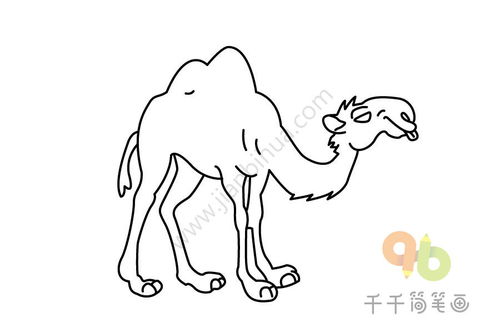 骆驼简笔画大全