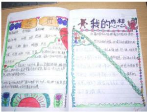 新课标小学生读书笔记大全的内容简介