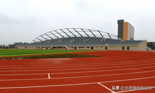 安徽一所被低估的大学,身处在四线城市,有一专业全国都很出名