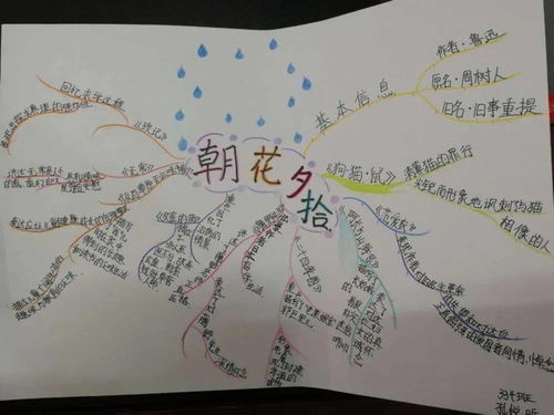 城镇中学开展朝花夕拾读书汇报活动