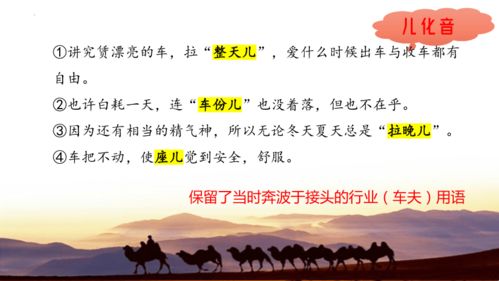 初中整本书阅读系列之骆驼祥子批注探究共18张ppt