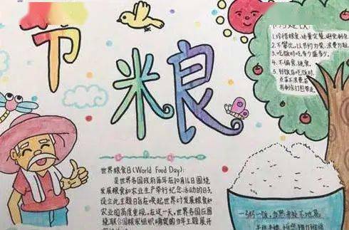 节约粮食手抄报精选