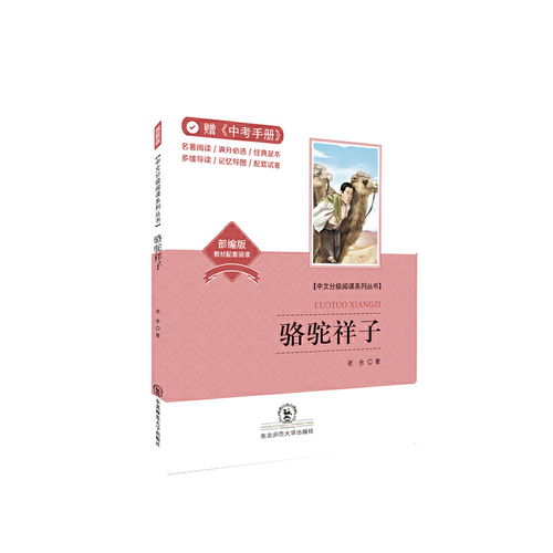 骆驼祥子部编版教材配套阅读名著阅读中考手册