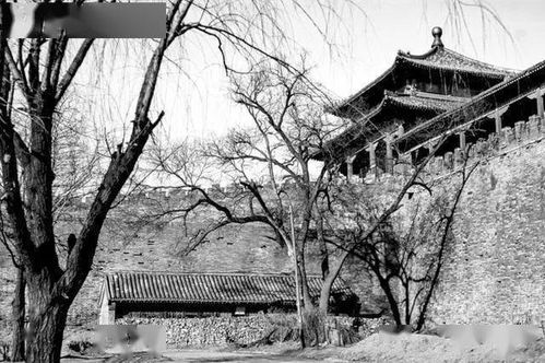 为何勤劳的人依然过得很贫穷,我从骆驼祥子中找到了答案