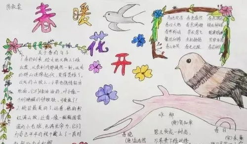 三月,你好描写春天的好词好句手抄报,与你共赏春暖花开