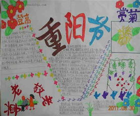 重阳节手抄报重阳佳节九月九,赠你菊花酒