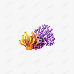海底世界美丽的珊瑚素材图片免费下载高清png千库网图片编号9409354