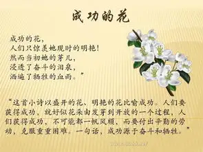 冰心诗