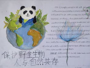 小手拉大手,共建卫生城手抄报伊通满族高级中学