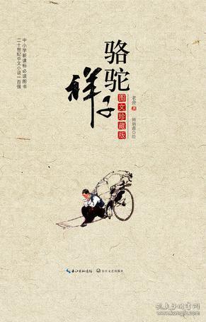 其他教辅教辅教材教辅考试