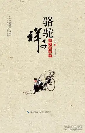 其他教辅教辅教材教辅考试