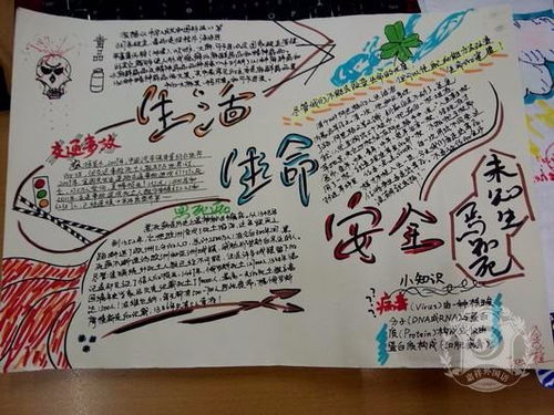 珍爱生命手抄报设计珍爱生命手抄报图片查字典板报网