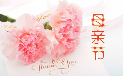 2021年母亲节简短祝福语,母亲节快乐