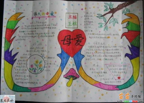 母爱手抄报内容