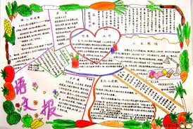 小学生四年级手抄报图片