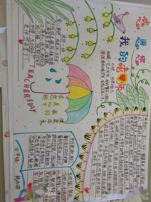 感恩教师节手抄报