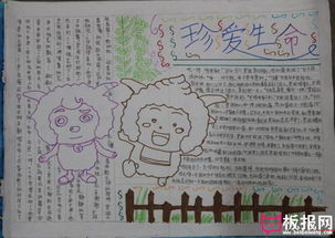 安全教育手抄报,珍爱生命