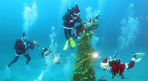海底世界欢乐嘉年华,水下圣诞节特惠门票仅需49.9元