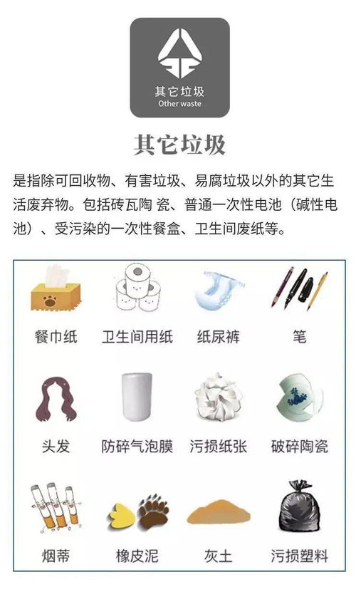垃圾分类齐参与美丽南岸你我共建