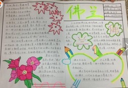 手抄报图片春天的植物手抄报图片之佛兰