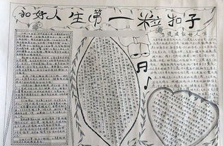 扣好人生的第一粒扣子手抄报图文资料